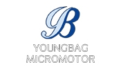 Công ty TNHH B Youngbag Micromotor Việt Nam