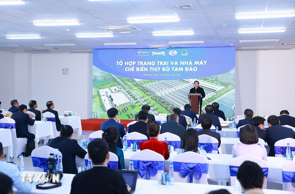 MINH NGA EVENT